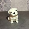 Lámpara Personalizada con Perrito | Decoración Artesanal