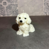 Lámpara Personalizada con Perrito | Decoración Artesanal