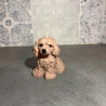 Lámpara Personalizada con Perrito | Decoración Artesanal
