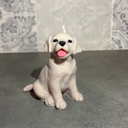 Lámpara Personalizada con Perrito | Decoración Artesanal